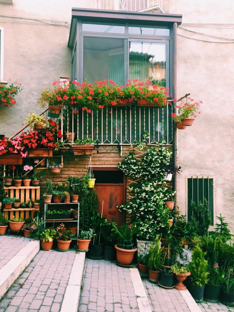 Doorway with stairs covered in red flowers and flower pots in Jelsi 