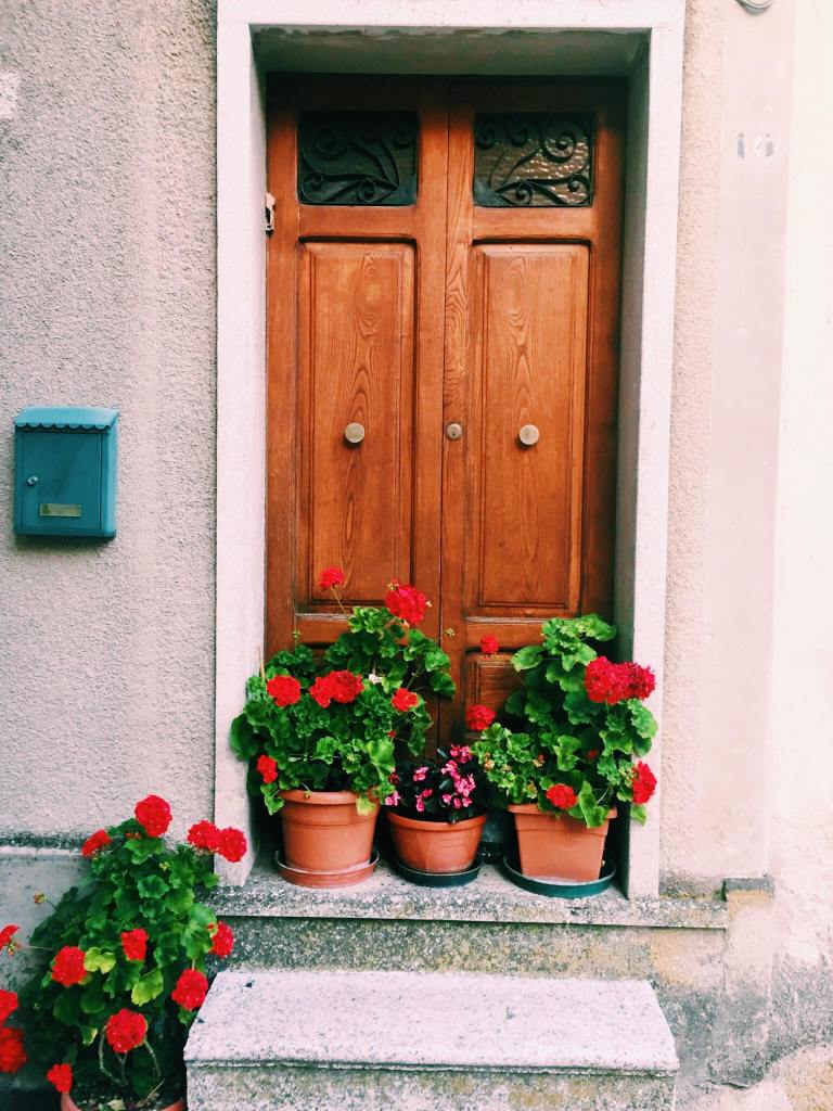 Doorway with flower posts of red flowers in Jelsi