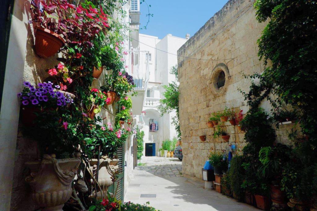 A street in Monopoli, Puglia, with flowers covering the left side of the image. A white washed building is centre background and a yellow sandstone wall is on the right, with bushes growing up it.
