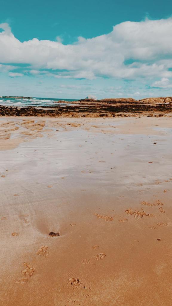 East Sands beach, things to do in North Berwick