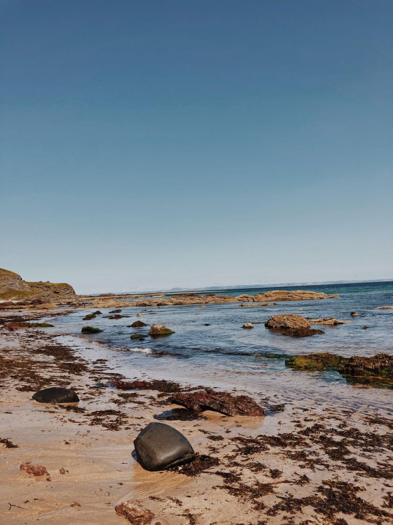 West Bay beach, Things to do in North Berwick