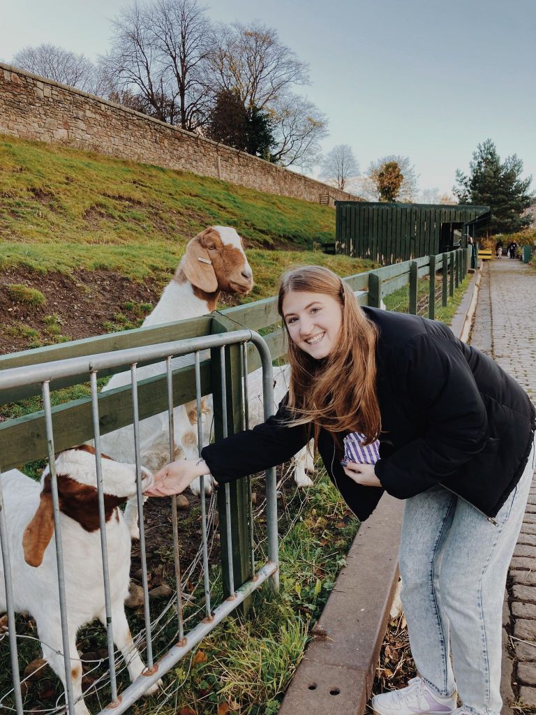 Feedings the goats at Love Gorgie Farm Edinburgh