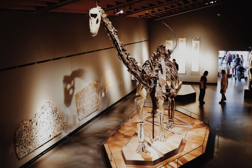 Misty the Dinosaur in Copenhagen Zoological Museum