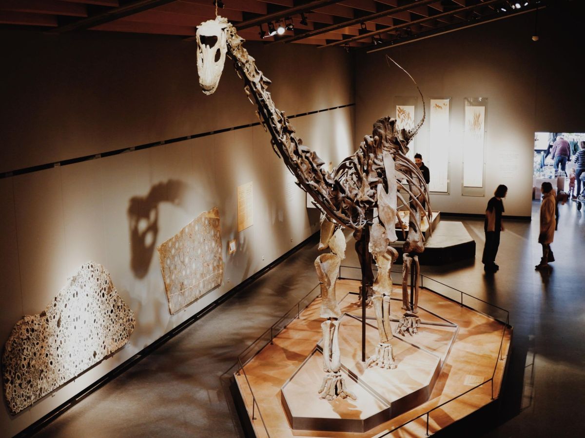 5 BEST Museums in&nbsp;Copenhagen